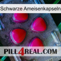 Black Ant Capsules 13